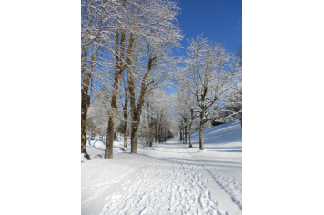 parc du Pontet sous la neige Mairie d'Hauteville-Lompnes